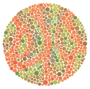 Colourblindness test image 14