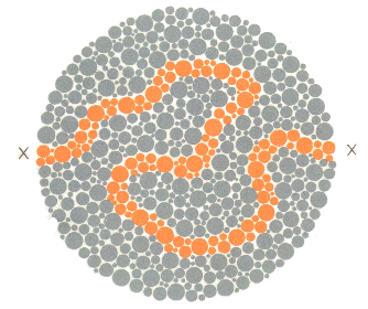 Colourblindness test image 24